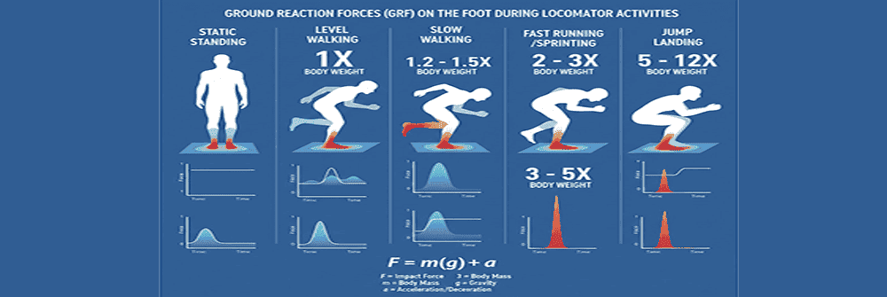 Impact of Body Weight On The Feet In Different Sates of Motions