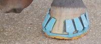 Shock-Absorbing Horseshoe Made From Plastic Which Clips On And Off